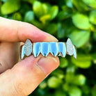 18k Gold Diamond, Plain Jane Fang Grillz - Drip Culture Jewelry