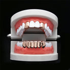 18K Gold 2 Top 6 Bottom Grillz Set - Drip Culture Jewelry