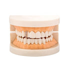 18k Gold Diamond Gap Filler Grillz - Drip Culture Jewelry