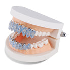 Platinum Diamond 1400 Grillz - Drip Culture Jewelry
